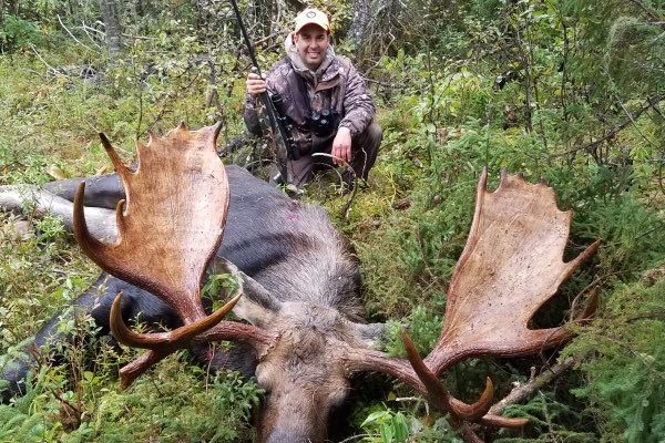 Duke Moose 2