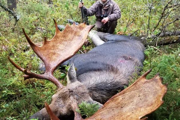 Duke Moose