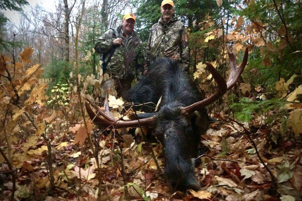Brud 2020 Moose - Guide Matt J. Libby